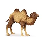 Papo - Realistic Bactrian Camel Figure Toy for Kids - Ages 3+ - Wild Life Collection - Educational Play Exotic Animals - Gift Idea Toy for Girls and Boys - 11.8 Cm
