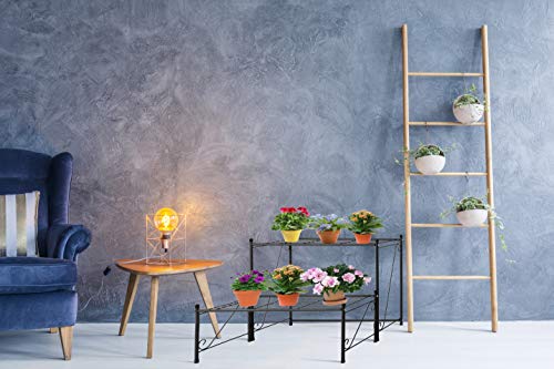 Doeworks 2 Tier Metal Plant Stand Storage Rack Shelf, Flower Pot Holder Display Shelf, Black #TOP6
