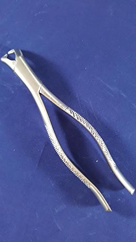 Miniatura 3 de Nuevo diente dental de grado premium EXTRACTOR Fórceps NO 23 Cuerno de vaca Molar inferior Acero inoxidable alemán