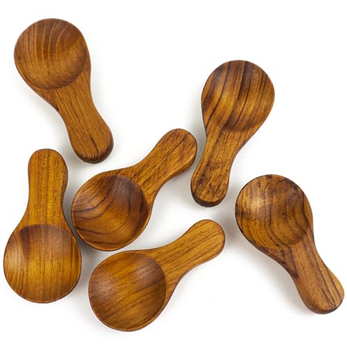 Set of 6 Small Teak Condiment Spoons