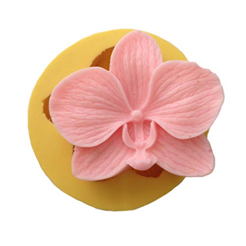 Partivitrini Stampo in Silicone a Forma di