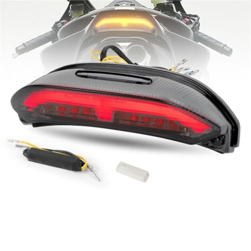 Indicateur de frein LED 12V pour CBR600RR en balade nocturne