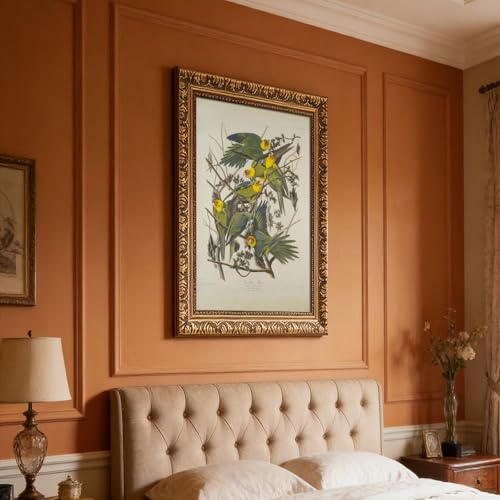 Poster Carolina Parrots John James Audubon : la solution pour vos murs vides - 7