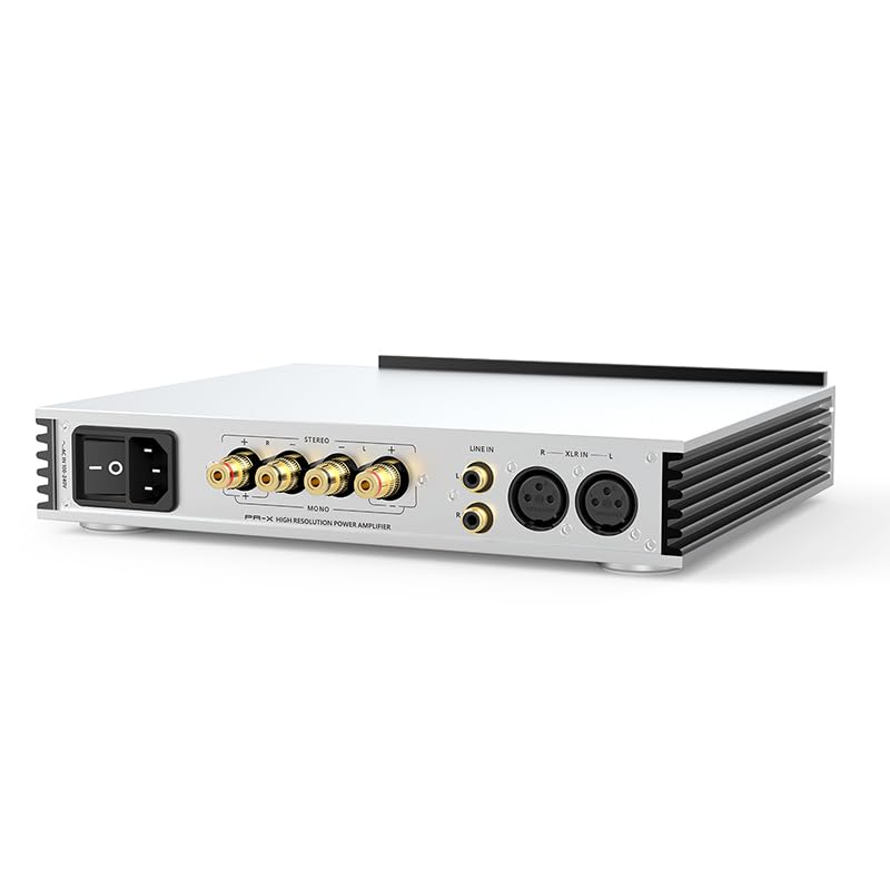 LEAUDIO S.M.S.L PA-X High-end Pure AMP Amplifier Balanced XLR/RCA