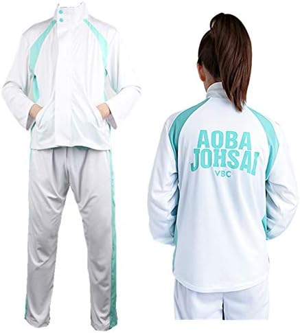 Cartoon Haikyuu Aoba Johsai High School 
