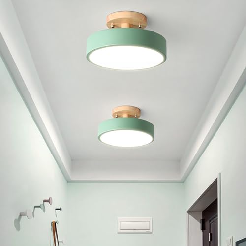 Liudefa Dimmable LED Ceiling Light Fixture,1-Lights 9 Inch Modern Ceiling