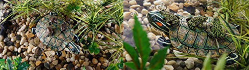 Exo Terra Isola galleggiante Tartaruga 300 g