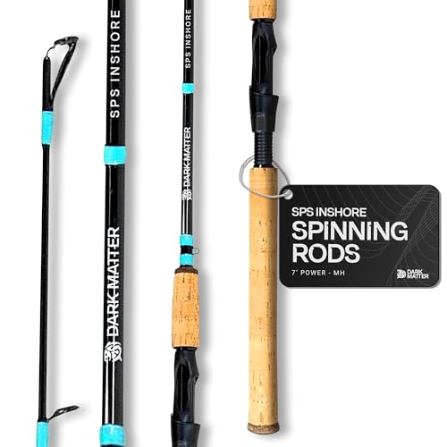 Dark Matter SPS Inshore Spinning Rod
