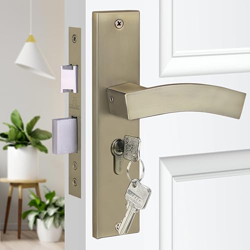 Blue Space Premium 8" Cylindrical Mortise Door Lock Handle Set with Brass Lock Body and One Side Key 60mm Cylinder Set with 3 Computer Keys (LB10002, Antique)