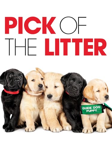 Pick of the Litter