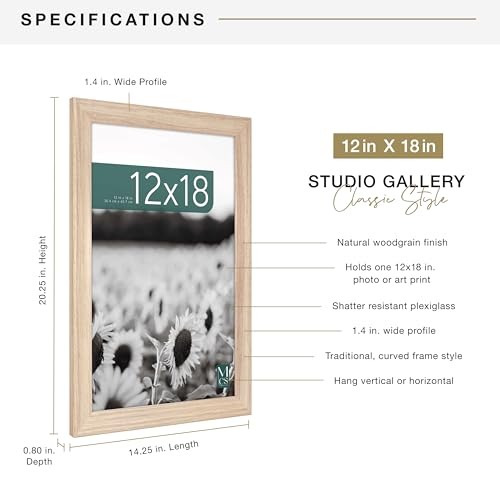 MCS Studio Gallery Classic 12x18 Picture Frame Natural Woodgrain, Vertical & Horizontal Wall Hanging Large Picture Frame for Photos, Posters & Art Prints (1-Pack)