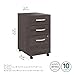 Bush Business Furniture Studio C 3 Drawer Mobile File Cabinet-Assembled, Rolling Document Storage for Home or Professional Office, 16W, Storm Gray