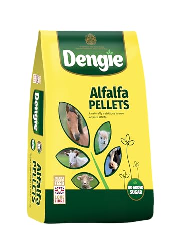 Dengie Alfalfa Pellets Great Value 20kg Bag - Suitable for Horses, Sheep, Goats & Camelids - Feed in Bucket, Snack Ball Treats or Soak to Mash