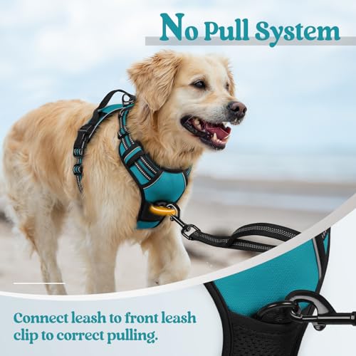 Image of rabbitgoo Dog Harness No Pull with 2 Leash Clips, Adjustable Soft Padded, Reflective Oxford No Choke Pet Vest with Easy Control Handle for Large Dogs, Teal, L