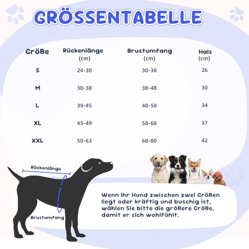 Eyein Hundebody Nach Op, Atmungsaktiver Verstellbarer Einteiler für weibliche und männliche Hunde, Anti-Lecken und Wundschutz, Alternative zu E-Kragen und Trichter nach Operationen, Grau, M
