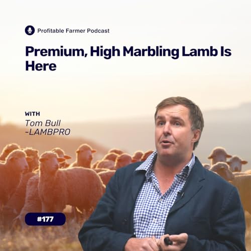 # 177 - Premium, High Marbling Lamb Is Here. With Tom Bull from LAMBPRO