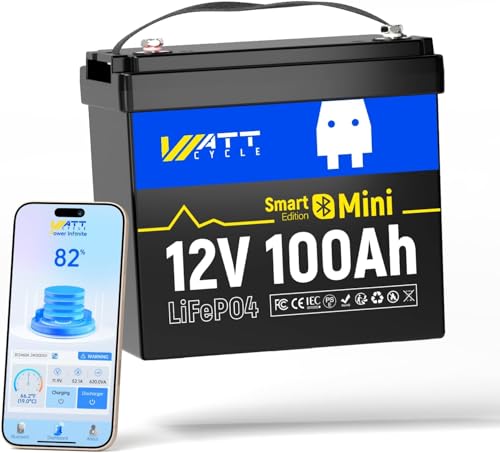 Image of 12V 100Ah LiFePO4 Lithium Battery with Bluetooth, BCI Group 24, 12V Mini Batterys 100A Smart BMS, Support Monitoring Battery via Phone Bluetooth, Up to 15000 Cycles for Trailer RV, Motor Home, Marine