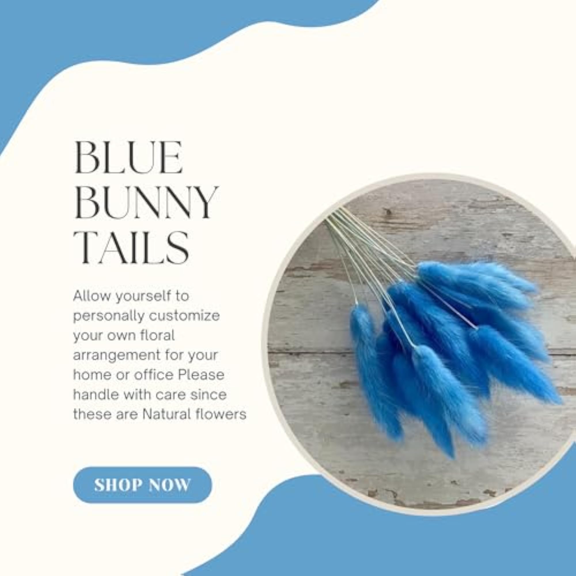 Tail Dried Pampas Grass for Home & Office Decor