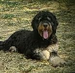 Review Image by CatJones CatJones