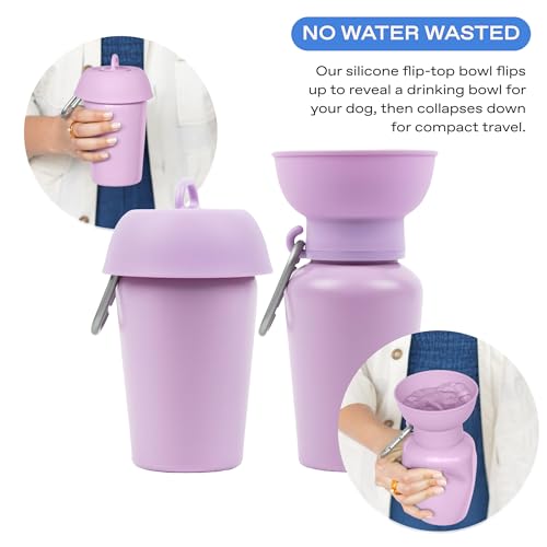 Image of Springland 20oz Portable Dog Water Bottle with Collapsible Bowl, Lilac