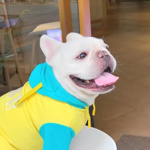 Bulldog francês engraçado alienígena fantasias de Halloween com capuz roupas fofas cosplay moletom c