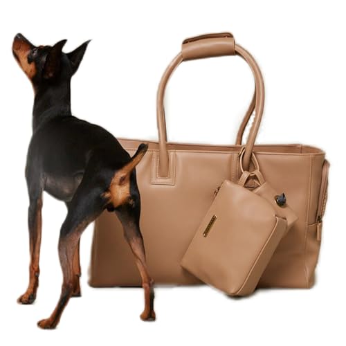 [citydog/VeBhbO] VeBg[gL[ b  L[obO L[P[X L[ g[g tFCNU[  s-camel