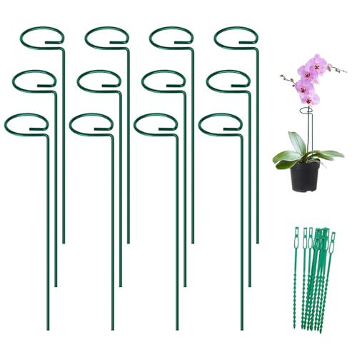 FEED GARDEN 16 Inch 12 Pack Plant Support Stakes Metal Garden Flower Stakes and Supports for Outdoor Plants Plant Stem Support with 24 Twist Ties for Amaryllis Lily Rose Peony Tomatoes Gladiolus