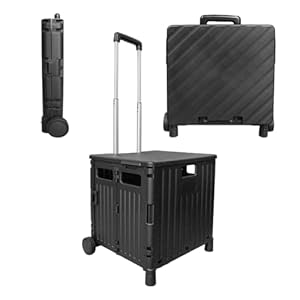 Berry Opvouwbare boodschappentrolley, 50 liter, zwart, 40 kg, kunststof trolley met 2 wielen en deksel, draagbare kar met telescopische handgreep, grote multifunctionele bruikbare kar om te winkelen,