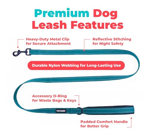 Image of Best Pet Supplies Voyager Reflective Dog Leash or Collar with Neoprene Handle, for Small, Medium, and Large Breed Puppies, Cute and Heavy Duty for Walking, Running and Training - Turquoise (Leash), L