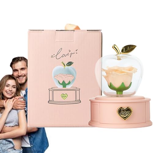 Rosa Real preservada, Flor Infinita para Regalo romántico de cumpleaños, San Valentín, cúpula de con Flor, Rosa Decorativa, cajón de Almacenamiento para Amantes, Familia, Boda