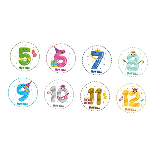 Ipetboom 12 xr[ }CXg[ XebJ[ Vp L^V