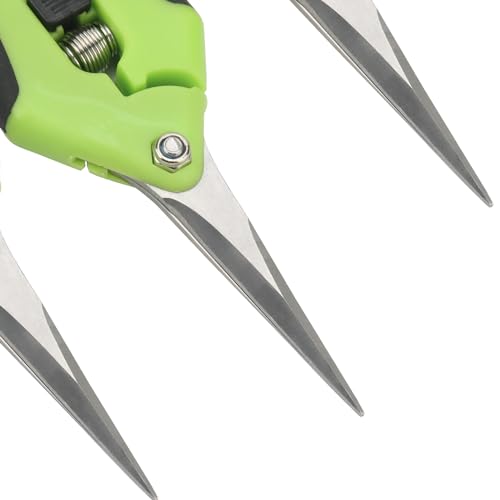 ZEONHAK 12 PCS 6.5 Inch Green Bud Trimming Scissors, Stainless Steel Bud Trim Scissors, Straight Tip Gardening Pruning Shears Pruners for Gardening 3 ZEONHAK 12 PCS 6.5 Inch Green Bud Trimming Scissors, Stainless Steel Bud Trim Scissors, Straight Tip Gardening Pruning Shears Pruners for Gardening - Image 3