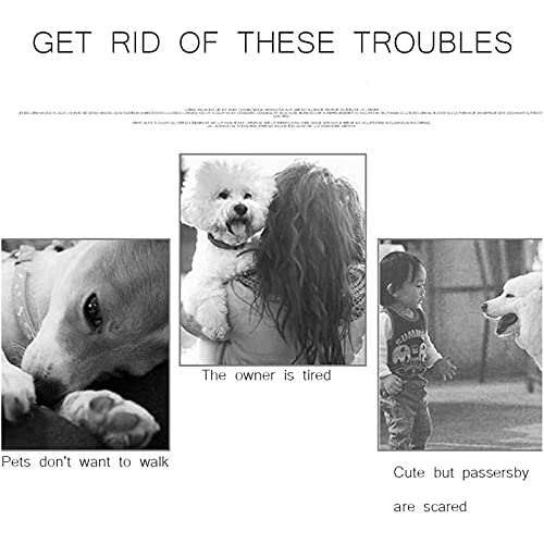 hongyang Pet Bike TrailerSmall & Medium Sized Dogs Bicycle Carrier - Foldable Frame Non-Slip Floor & Internal Leash, Easy to Connect