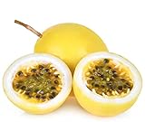 Mr.seeds 20 Seeds, Bananas, Passion Fruit, Tropical Fruit Flavors, Nice Juicy Nutrient-Rich, Easy to Care for.