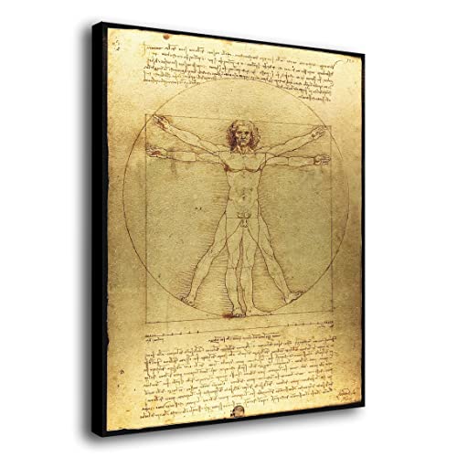 Genérico Cuadro Lienzo Canvas Hombre de Vitruvio Leonardo da Vinci 1492 - Lienzo de Tela con Bastidor Madera de 3cm - Alta resolucion (44, 60)