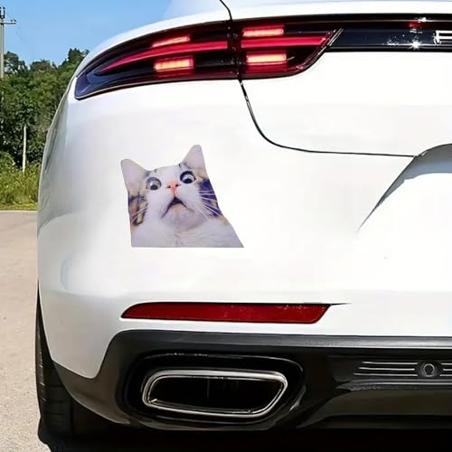 Pegatinas para coche de 6 pulgadas troqueladas en vinilo resistente 4