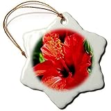 Perfekt als Weihnachtsbaumschmuck, Andenken und Weihnachtsgeschenke.