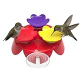 ZUMMR Hummingbird Ring Starter Kit