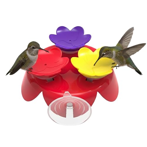 ZUMMR Window Hummingbird Feeder, 2-in-1 Handheld Ring Trainer Starter Kit with Suction Cup for Hand Feeding, Made in USA
