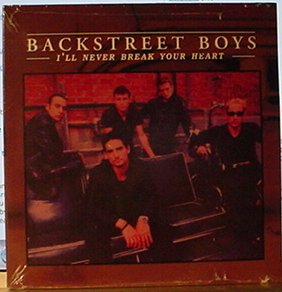 I'll Never Break Your Heart [Audio CD]