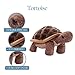 The Petting Zoo Tortoise Stuffed Animal Plushie, Gifts for Kids, Wild Onez Farm Animals, Tortoise Plush Toy 9 Inches