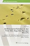 barrage emosson travaux  Archosaurierfährten in der Trias des Aiguilles Rouges Massifs: Analyse der Sedimentologie und Erhaltung von fossilen Spuren aus der Trias-Zeit in Vieux Emosson, Wallis, Schweiz