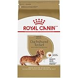 Royal Canin Dachshund Adult Breed Specific Dry Dog Food, 10 lb bag