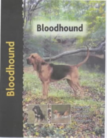 Bloodhound (Pet Love S.)