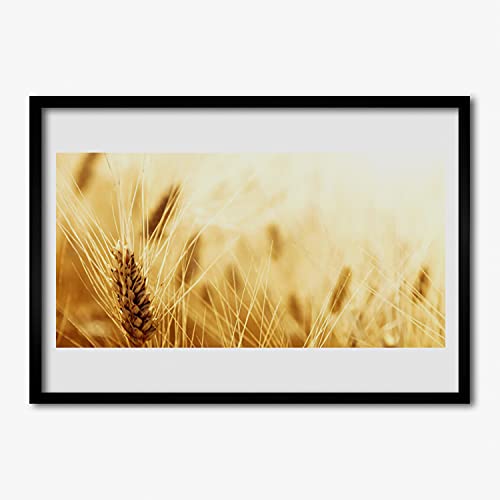 Affiche encadrée 70x50 cm salon et chambre cadre photo de blé thème nature