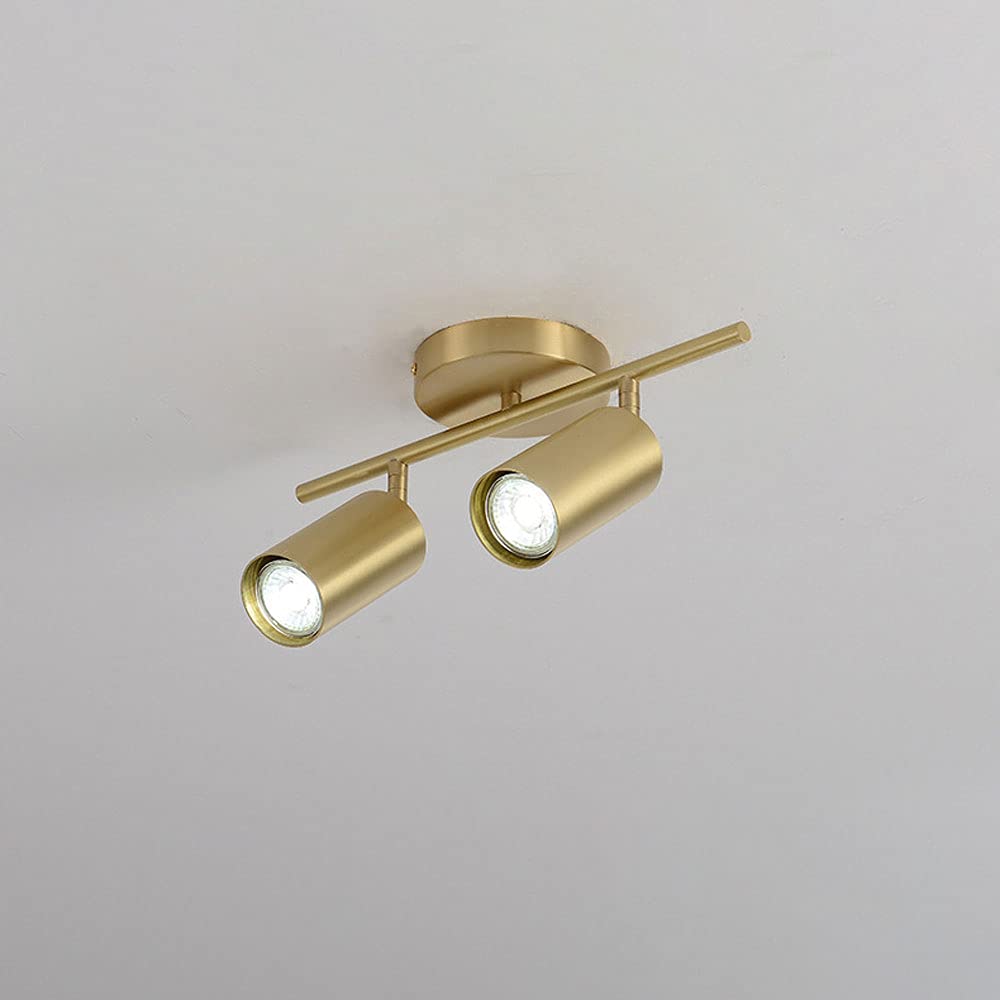 HPTHLY Brass Ceiling Spotlight, Surface Mounted Accent Spots Lamp, Simple Brass Ceiling Mount Light Fixtures, Copper Directional Spotlights For Living Room (2Light)