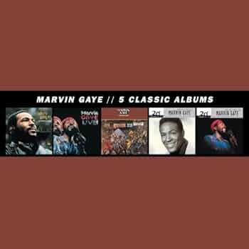 Marvin Gaye 名盤レコード5枚セット Marvin Gaye 名盤レコード5枚セット Marvin Gaye 名盤レコード5