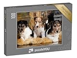 chiot fox terrier 2 mois Puzzle classique de qualité dans une boîte anthracite avec l'image du puzzle comme modèle