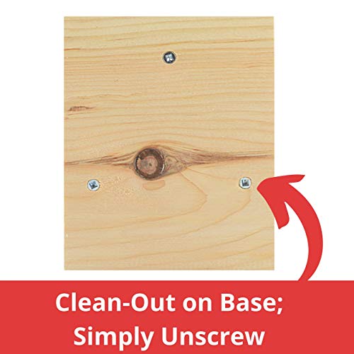 Unfinished Birdhouse To Paint For Birdwatching With Perch, Natural Wood Pine Frame For Finches And Songbirds, Heavy Duty Outdoor Hanging Use (9.0") #TOP5