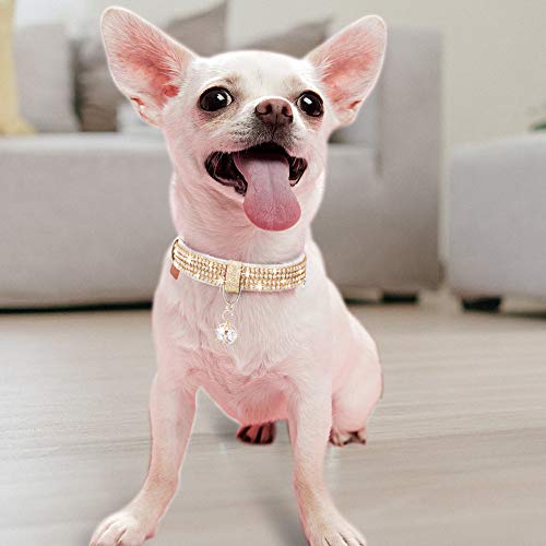 Image of Cat Collar, Dog Collar, [Bling Rhinestones] Premium PU Leather with Pendant Adjustable Collars for Cat and Small Dog Extra Small Gold